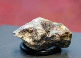 Forschung des Ribbeck-Meteoriten: Neue Erkenntnisse und Entdeckungen news-06102024-090024