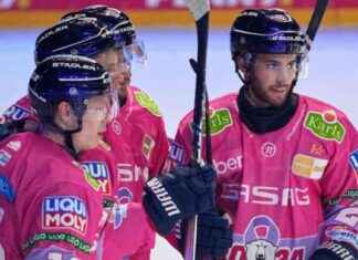 Siegeszug der pinke Eisbären: Klare Überlegenheit gegen Nürnberg news-06102024-210244