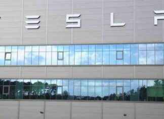 Unbekannte Besetzung von Bagger bei Tesla-Werk: Was geschah? news-09102024-173541