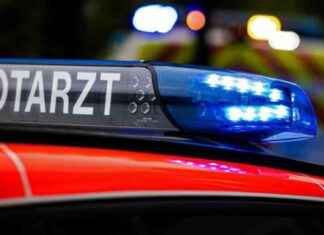 Tragischer Unfall: Autofahrer (63) stirbt nach Kollision mit Baum news-11102024-115820