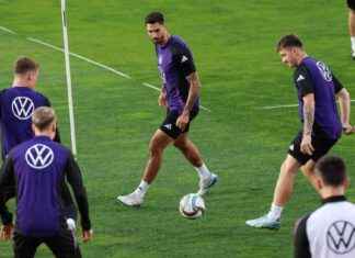 Debütanten Nübel und Kleindienst im Fokus: DFB-Team startet in die Saison news-11102024-214453