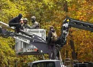 Aktivisten blockieren Bagger bei Tesla-Fabrik: Was sind ihre Forderungen? news-22102024-142249