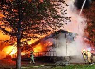 Feuer im Freilandlabor des Britzer Gartens: Ermittlungen laufen news-24102024-083149