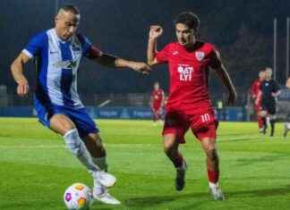 Fußball: Babelsberg dominiert Hertha, BFC gewinnt knapp news-26102024-024422