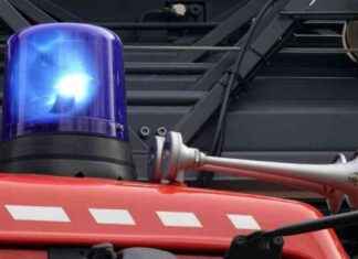 Brand in Nauen: Neun Menschen bei Feuer verletzt news-28102024-091919