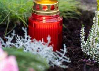 Skitalent aus Italien (19) stirbt nach Trainingssturz news-29102024-111117