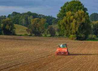Ernährungssicherheit in der Verfassung: Bauern bei Koalitionsverhandlungen news-01112024-215911