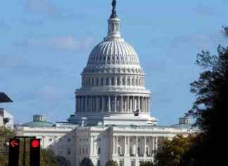 Könnte Trump den Kongress durchregieren? Chance auf republikanische Mehrheit news-06112024-115554