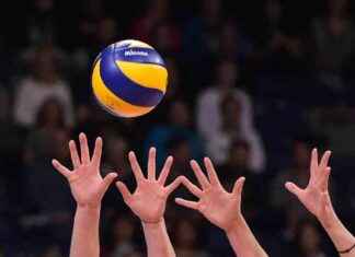 Volleyball-Pokal: BR Volleys vs. Lüneburg, SC Potsdam vs. Stuttgart live news-10112024-230014