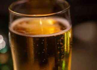 Suchtberatung: Forderung nach Abgabe für Handel und Hersteller news-12112024-032102