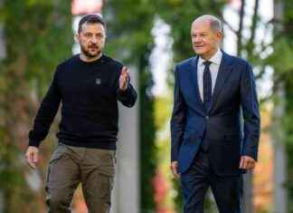 Ukraine-Konflikt: Selenskyj löst mit Scholz-Anruf bei Putin Kontroverse aus news-15112024-212441