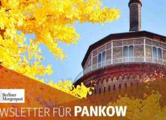 Pankow-Newsletter abonnieren: Aktuelle Neuigkeiten aus dem Bezirk news-16112024-043215