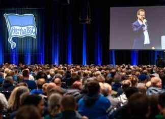 Neuer Hertha-Präsident wird gewählt: Über 58.000 Mitglieder beteiligt news-17112024-154541