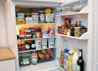 Schnäppchenjagd vor Black Friday: Über 1000 Euro bei Kühlschränken sparen news-18112024-124415