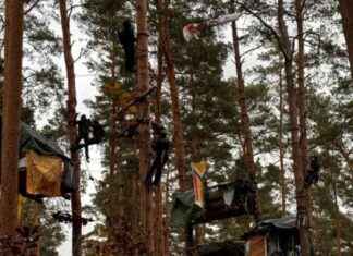 Polizei rettet Tesla-Gegner bei Kampfmittelsuche in Bäumen news-18112024-154942