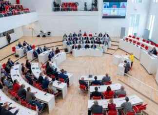 Kritik an automatischer Diätenerhöhung news-20112024-035556