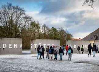 Gedenkstätten in Brandenburg: Verpflichtung zur politischen Arbeit news-22112024-000504