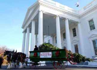 Weihnachtsbaum für das Weiße Haus: First Lady nimmt Brauchtum in Empfang news-25112024-235900