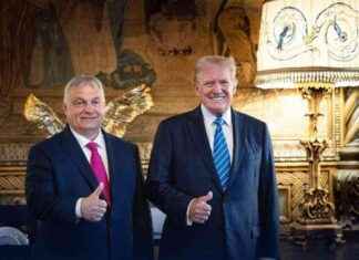 Europas Rechte forcieren Bündnis für Friedensnobelpreis-Trump news-28112024-152419