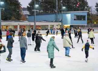 Die besten Berliner Eisbahnen: Idylle und Massenrummel im Vergleich news-29112024-115231
