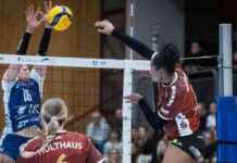erfolgreiche-teilnahme-des-sc-potsdam-volleyballteams-am-challenge-cup-viertelfinale