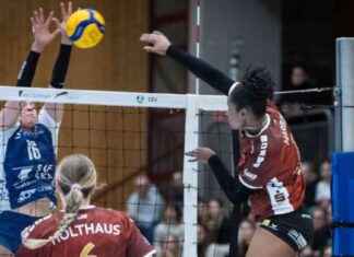 Erfolgreiche Teilnahme des SC Potsdam Volleyballteams am Challenge Cup-Viertelfinale erfolgreiche-teilnahme-des-sc-potsdam-volleyballteams-am-challenge-cup-viertelfinale