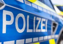 gewalttat-in-berlin-41-jhrige-greift-mutter-mit-beil-an