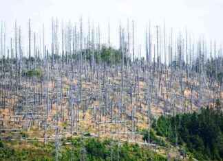 Klimakrise: Ist das 1,5-Grad-Ziel verfehlt? klimakrise-st-das-15-grad-ziel-verfehlt