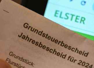 Neuer Bescheid abwarten? Verband empfiehlt Geduld bei Grundsteuer neuer-bescheid-abwarten-verband-empfiehlt-geduld-bei-grundsteuer