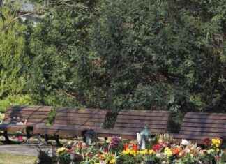 Todesfälle in Brandenburg: Häufige Ursache Kreislaufsystem – Gesundheit in Gefahr news-03122024-141805