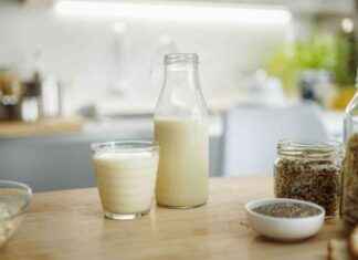 Ist Hafermilch gesund für Kinder? Warum ich als Mutter darauf verzichte st-hafermilch-gesund-fr-kinder-warum-ich-als-mutter-darauf-verzichte