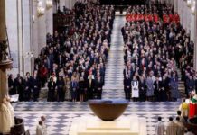 wiedererffnung-von-notre-dame-trump-kehrt-auf-die-weltbhne-zurck