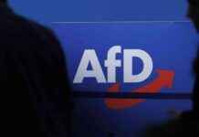 afd-abgeordneter-ziegler-siegt-in-klage-gegen-landesverband-sachsen-anhalt