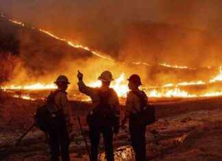 Bekämpfung von Waldbränden in Los Angeles: Feuerwehr-Chefin erhebt schwere Vorwürfe bekmpfung-von-waldbrnden-in-los-angeles-feuerwehr-chefin-erhebt-schwere-vorwrfe