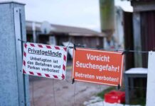 brandenburg-lockert-beschrnkungen-fr-maul-und-klauenseuche-tiergesundheit-im-fokus