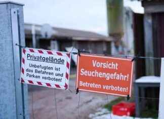 Brandenburg lockert Beschränkungen für Maul- und Klauenseuche: Tiergesundheit im Fokus brandenburg-lockert-beschrnkungen-fr-maul-und-klauenseuche-tiergesundheit-im-fokus