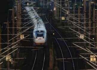 ICE-Strecke Hamburg-Berlin gesperrt wegen Baum auf Gleisen ce-strecke-hamburg-berlin-gesperrt-wegen-baum-auf-gleisen