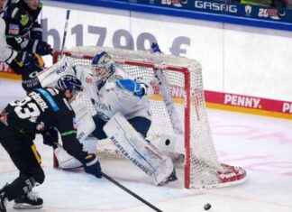 Eisbären Berlin gewinnen souverän gegen Straubing Tigers eisbren-berlin-gewinnen-souvern-gegen-straubing-tigers