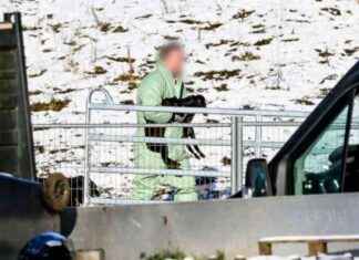 Ende des Transportverbots: 275 Tiere wegen Seuche getötet – Aktuelle Updates ende-des-transportverbots-275-tiere-wegen-seuche-gettet-aktuelle-updates