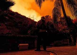 Feuer in Los Angeles: Rufe nach Trump werden lauter feuer-in-los-angeles-rufe-nach-trump-werden-lauter