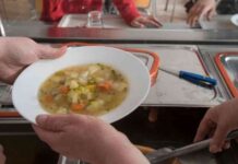 kostenloses-schulessen-in-brandenburg-volksinitiative-unzulssig