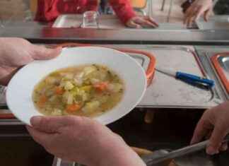 Kostenloses Schulessen in Brandenburg: Volksinitiative unzulässig? kostenloses-schulessen-in-brandenburg-volksinitiative-unzulssig