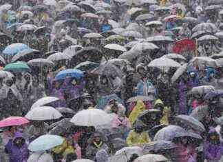 Regierungskrise in Südkorea: Anti-Korruptionsbehörde fordert Polizei zur Festnahme Yoons regierungskrise-in-sdkorea-anti-korruptionsbehrde-fordert-polizei-zur-festnahme-yoons