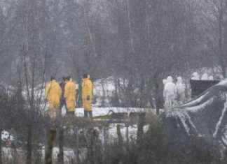 Schutzmaßnahmen gegen Maul- und Klauenseuche: Krisenstäbe beraten schutzmanahmen-gegen-maul-und-klauenseuche-krisenstbe-beraten