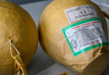 sicherheitsmanahmen-vor-silvester-zoll-beschlagnahmt-kugelbomben
