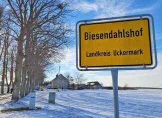 Tödliche Stichattacke in Casekow: Zwei Tote und zwei Schwerverletzte tdliche-stichattacke-in-casekow-zwei-tote-und-zwei-schwerverletzte