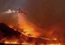 waldbrand-in-los-angeles-anzahl-der-todesopfer-erhht-sich-auf-elf