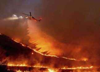 Waldbrand in Los Angeles: Anzahl der Todesopfer erhöht sich auf elf waldbrand-in-los-angeles-anzahl-der-todesopfer-erhht-sich-auf-elf