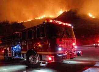 Waldbrand Los Angeles: Aktuelle Situation und Reaktion von Trump waldbrand-los-angeles-aktuelle-situation-und-reaktion-von-trump