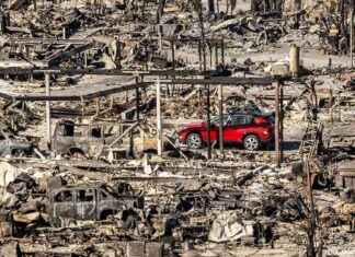 Waldbrände Kalifornien: Gouverneur erwägt Räumung in Los Angeles waldbrnde-kalifornien-gouverneur-erwgt-rumung-in-los-angeles